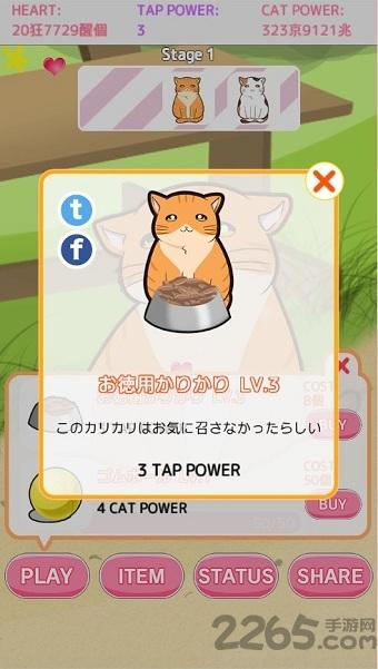和猫猫玩耍最新版下载,和猫猫玩耍,猫咪游戏