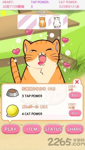 和猫猫玩耍最新版下载,和猫猫玩耍,猫咪游戏