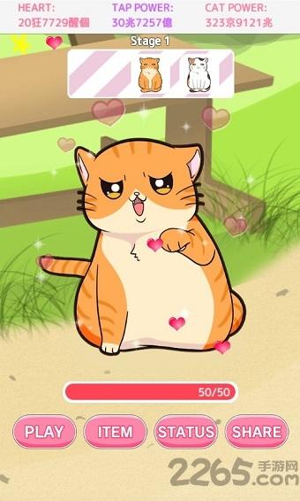和猫猫玩耍最新版下载,和猫猫玩耍,猫咪游戏